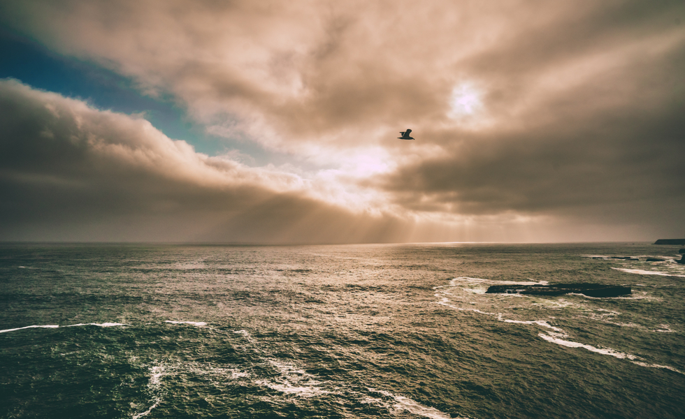 Morning sunshine over the ocean.