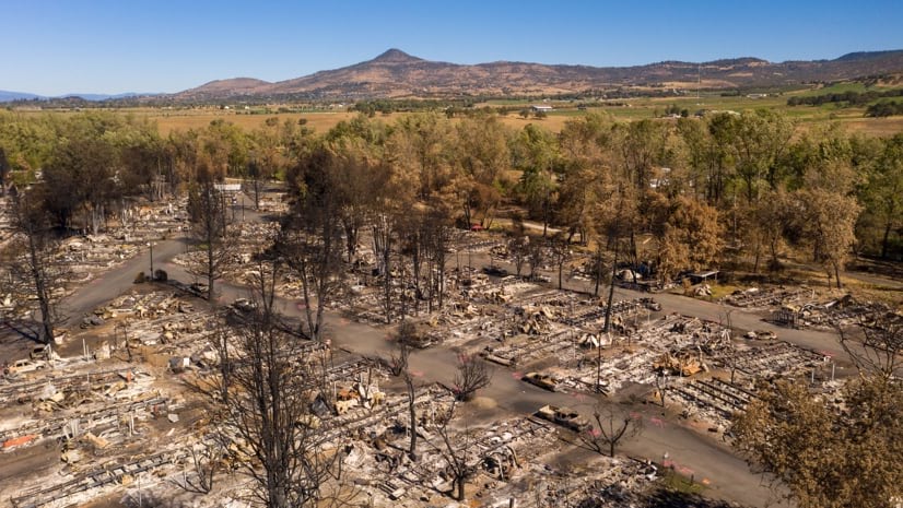 Reflecting on Wounds After the Fire