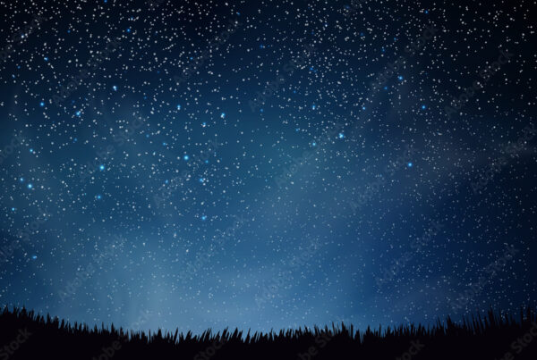 Starry night over forest
