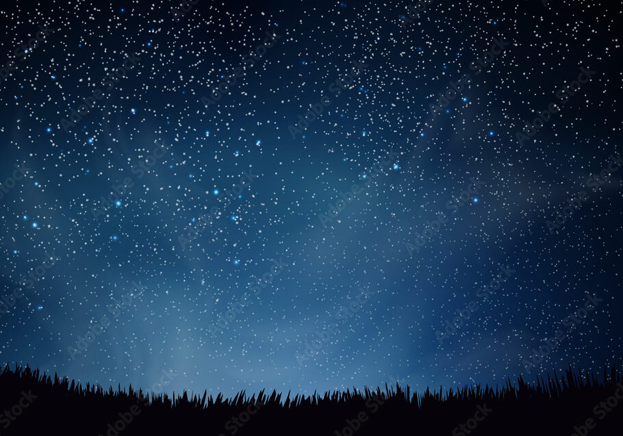 Starry night over forest