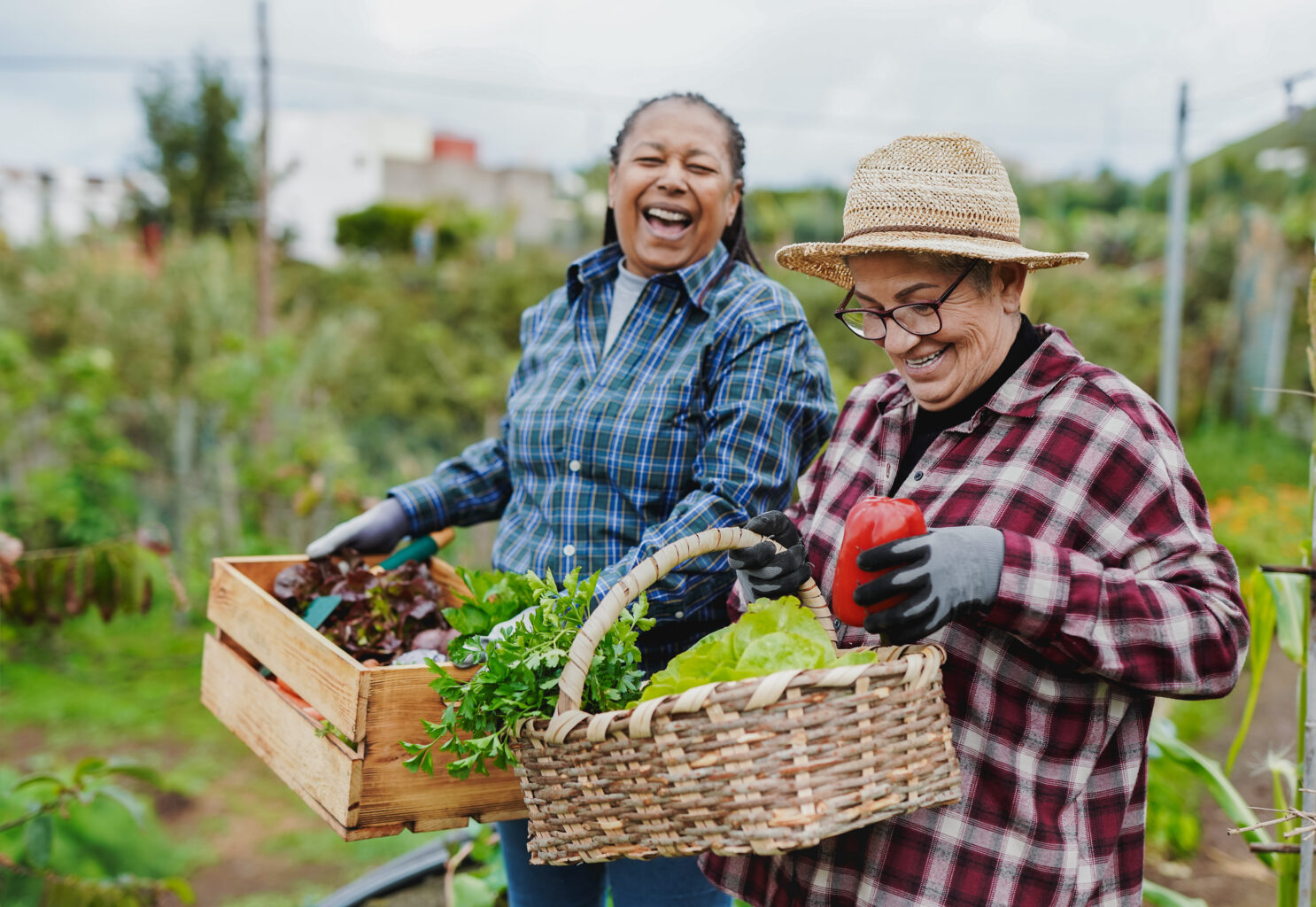 Gratitude Two smiling ladies with harvest bounties. Thanksgiving.