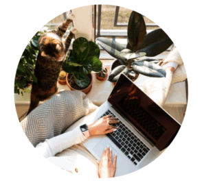 Birds eye view of woman with laptop, working, enjoying the sun with her cat.